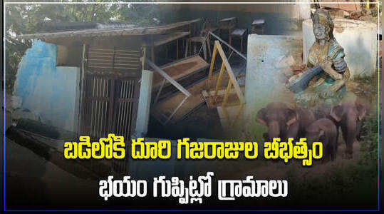 స్కూల్‌పై ఏనుగుల దాడి.. భయంతో వణికిపోతున్న గ్రామస్థులు