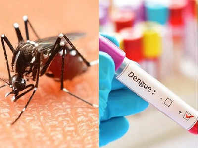 उत्तराखंड में ढाई हजार के पार पहुंची डेंगू के मरीजों की संख्या, देहरादून की हालत खराब