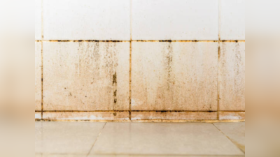 बाथरूमच्या पिवळ्या धम्मक टाईल्स एका वॉशमध्ये करा स्वच्छ, स्वस्तात मस्त उपाय