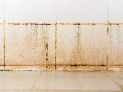 बाथरूमच्या पिवळ्या धम्मक टाईल्स एक वॉशमध्ये करा स्वच्छ, स्वस्तात मस्त उपाय