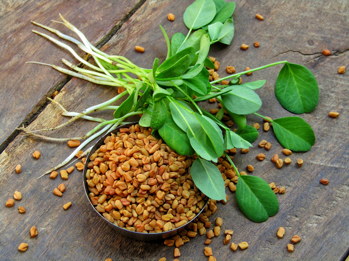 fenugreek seeds leaves