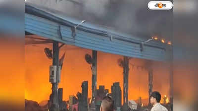 Delhi Fire :  এশিয়ার বৃহত্তম সবজি বাজারে বিধ্বংসী আগুন, ঘটনাস্থলে দমকলের ১১টি ইঞ্জিন