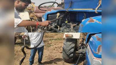 Cobra in Tractor: ट्रैक्टर के इंजन बॉक्स में छिपा था 5 फीट लंबा कोबरा, स्नेक मैन ने हाथ से पकड़ा और फिर...