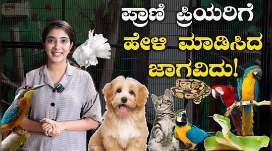 ಪ್ರಾಣಿ ಪ್ರಿಯರಿಗೆ ಹೇಳಿ ಮಾಡಿಸಿದ ಜಾಗವಿದು!