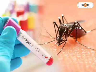 Dengue Fever : ডেঙ্গির পজ়িটিভিটি রেটে এখন ১ নম্বরে বিধাননগর