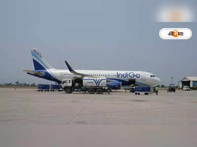 Indigo Flight : মাঝ আকাশে শ্বাসকষ্ট! ইন্ডিগো বিমানে ৬ মাসের শিশুকে বাঁচালেন ফরিস্তা চিকিৎসক