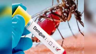 स्वास्थ्य विभाग ने माना, लखनऊ में डेंगू शॉक सिंड्रम से हुई पहली मौत... जानिए क्या है ये बीमारी