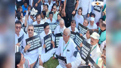 TMC Protest : অভিষেকের নেতৃত্বে তৃণমূলের সত্যাগ্রহ, বিশাল পুলিশ বাহিনীর ঘেরাটোপে রাজঘাট