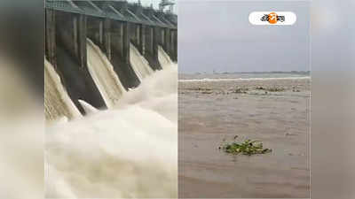 WB Flood Alert: পুজোর মুখে বন্যার আশঙ্কা! ডিভিসি-এর পাশাপাশি কংসাবতী থেকেও জল ছাড়ার সিদ্ধান্ত