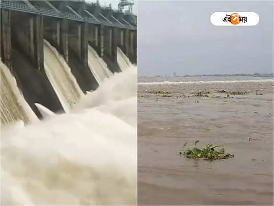 WB Flood Alert: পুজোর মুখে বন্যার আশঙ্কা! ডিভিসি-এর পাশাপাশি কংসাবতী থেকেও জল ছাড়ার সিদ্ধান্ত
