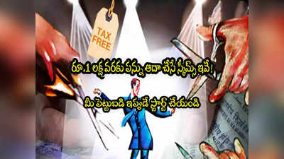 Tax Saving: రూ.1 లక్ష వరకు ట్యాక్స్ ఆదా చేసే స్కీమ్స్ ఇవే.. ఇన్వెస్ట్ చేయండిలా! 