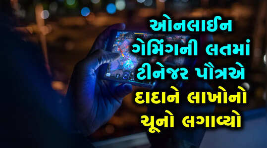 ઓનલાઈન ગેમિંગની લતમાં ટીનેજર પૌત્રએ દાદાને લાખોનો ચૂનો લગાવ્યો