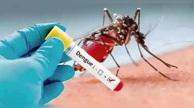 नाशिक बनले डेंग्यूचा हॉटस्पॉट; सप्टेंबर महिन्यात १,०६६ संशयित, तर पॉझिटिव्ह रुग्णही अडीचशे पार