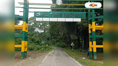 Buxa Tiger Reserve Tour : বক্সায় জঙ্গল সাফারিতে বাতিল ৩০ জিপসি গাড়ি, পুজোর মুখে দুশ্চিন্তায় পর্যটকরা