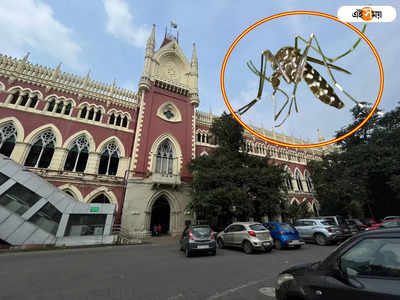 Dengue Situation: ক্রমশ বাড়ছে ডেঙ্গি,  হাইকোর্টে জনস্বার্থ মামলা চিকিৎসকের