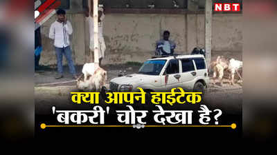 स्कॉर्पियो रुकी और बकरी गायब, मुजफ्फरपुर में काले शीशे वाली गाड़ी का आतंक, जानिए पूरी कहानी
