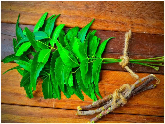 ಬೇವಿನ ಎಲೆಗಳು