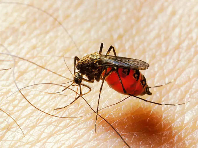 malaria spread levels