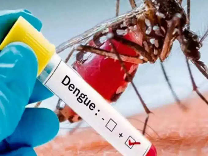 dengue spread levels in September