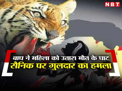 घास लेने गई महिला पर झपटा बाघ, उतार दिया मौत के घाट, सैनिक पर गुलदार का हमला