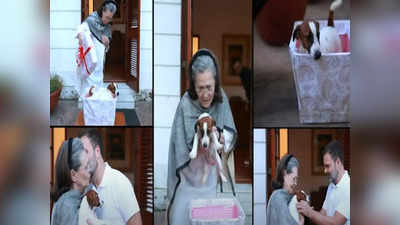 गोवा से राहुल ले लाए ... मां सोनिया गांधी को गिफ्ट किया पपी, देखें वीडियो