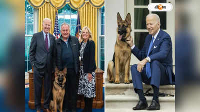 US President Dog: যখন-তখন ঝাঁপিয়ে পড়ে রাম-কামড়! হোয়াইট হাউস থেকে ঘাড় ধাক্কা বাইডেনের কমান্ডার-কে