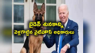 Joe Biden: వైట్‌హౌస్ నుంచి బైడెన్ మరో పెంపుడు శునకాన్ని బయటికి పంపిన అధికారులు.. అదే కారణం!