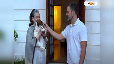 Rahul Gandhi Dog Name : পোষ্যের নাম নুরি, রাহুল গান্ধীর বিরুদ্ধে মুসলিম মেয়েদের অপমানের অভিযোগ মিম নেতার