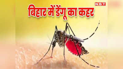 बिहार में डराने लगा डेंगू: बीते 24 घंटे के दौरान दो मरीजों की मौत, मिले 344 नए केस, जानिए बचने का उपाय