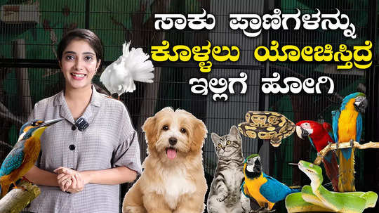 famous pet choice centre bangalore