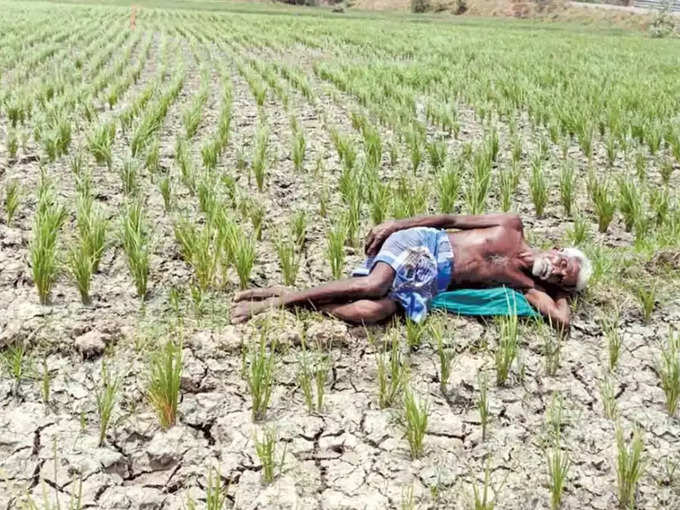 குறுவை பயிர்கள் காக்கப்படுமா?