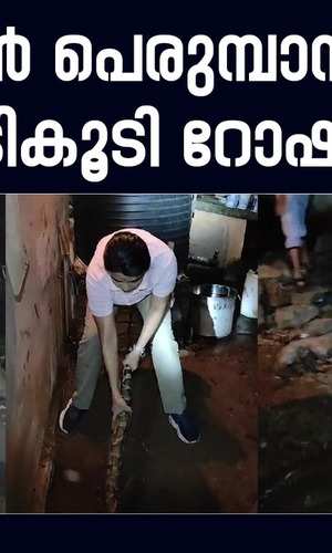 a python was found again in a house in thiruvananthapuram