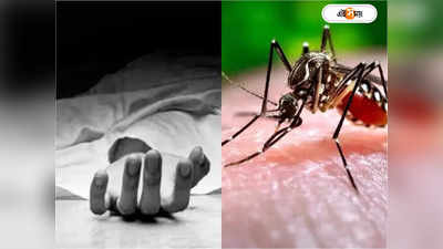 Dengue Death Rate : ডেঙ্গির হটস্পট উত্তর ২৪ পরগনা! এবার মৃত্যু ১৫ বছরের কিশোরের