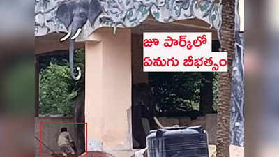 Hyd: జూ పార్క్‌లో ఏనుగు బీభత్సం.. కేర్ టేకర్‌ను తొక్కి చంపేసిన మదగజం 