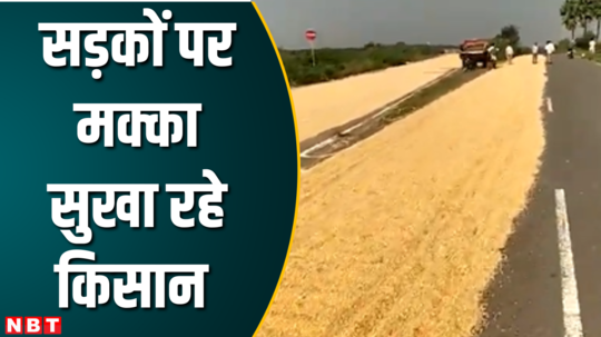 farmers spread maize on the expressway