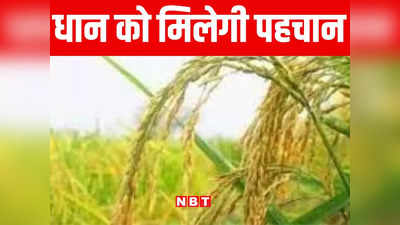 बिहार: मर्चा धान को मिला जीआई टैग, किसानों की आय दुगनी होने की उम्मीद, जानिए पूरी बात