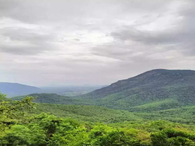 ​ஜவ்வாது மலை