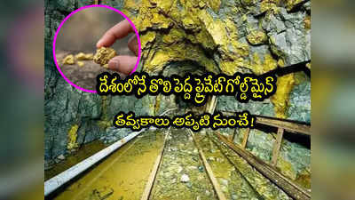 Gold Mine:  ఆంధ్రప్రదేశ్‌లో అతిపెద్ద ప్రైవేట్ గోల్డ్ మైన్.. ఏడాదికి 750 కిలోలు తవ్వుకోవడమే.. ఎప్పటినుంచంటే?