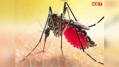 बिहार में डेंगू को लेकर राहत वाली खबर: घटने लगे मामले, बीते 24 घंटे में मिले सिर्फ 286 नए केस
