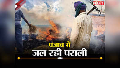 पंजाब में खूब पराली जला रहे किसान, अब तक 969 मामले रिपोर्ट, अमृतसर में सबसे अधिक