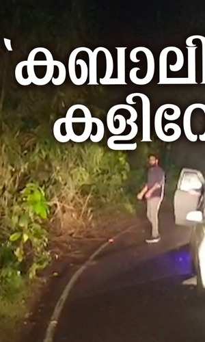 a young man provoked the wild elephant kabali which came on the road in thrissur malakappara