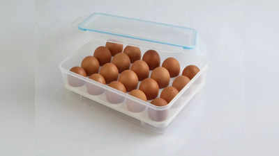 Eggs Storing : ఈ టిప్స్ పాటిస్తే గుడ్లు ఎక్కువరోజులు తాజాగా ఉంటాయి..