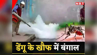 Dengue In West Bengal 2023: पश्चिम बंगाल में कोहराम मचा रहा डेंगू, मरीजों की संख्‍या 50 हजार के पार