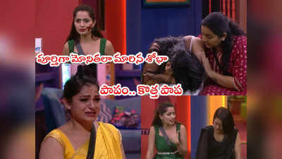 Bigg Boss 7 Telugu Day 36: శోభా సైకోయిజం పీక్స్.. మొదటి రోజే కొత్త పాప ఏడుపు.. ఇంటికెళ్లి పోతా ప్లీజ్ అంటూ 