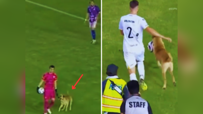 फुटबॉल मैच के बीच पहुंच गया कुत्ता, खिलाड़ियों के साथ खेल खेला तो जीतने वाली टीम ने गोद ले लिया, वीडियो वायरल