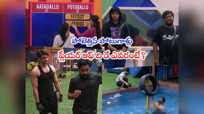 Bigg Boss 7 Telugu Day 37: ఆటగాళ్లను ఊడ్చిపారేసిన పోటుగాళ్లు.. 2 టాస్కుల్లోనూ గెలుపు వాళ్లదే 