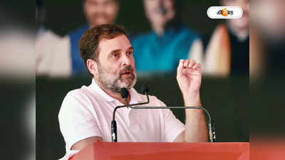 Rahul Gandhi : সিট শেয়ারিংয়ে কী স্ট্যান্ড, জানতে প্রদেশ নেতাদের মত নেবেন রাহুলরা