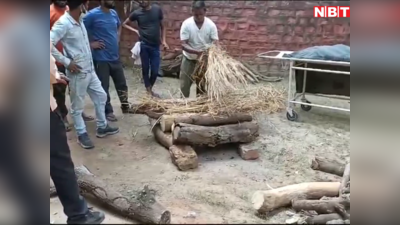 एमपी न्‍यूज: ग्‍वालियर के चिड़‍ियाघर से आई बुरी खबर, सफेद बाघिन मीरा के दूसरे शावक की मौत