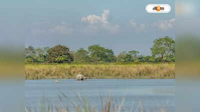 Kaziranga National Park : পর্যটকদের জন্য দুর্দান্ত খবর, পুজোর আগেই খুলছে কাজিরাঙার দরজা
