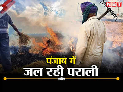 धुएं में हवा हो रहे सरकारी दावे, पंजाब में पराली जलाने के मामले बढ़े, दिल्ली में सांस लेना हुआ दूभर